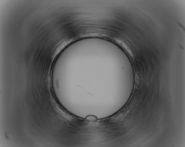 X0000093590890200710151015