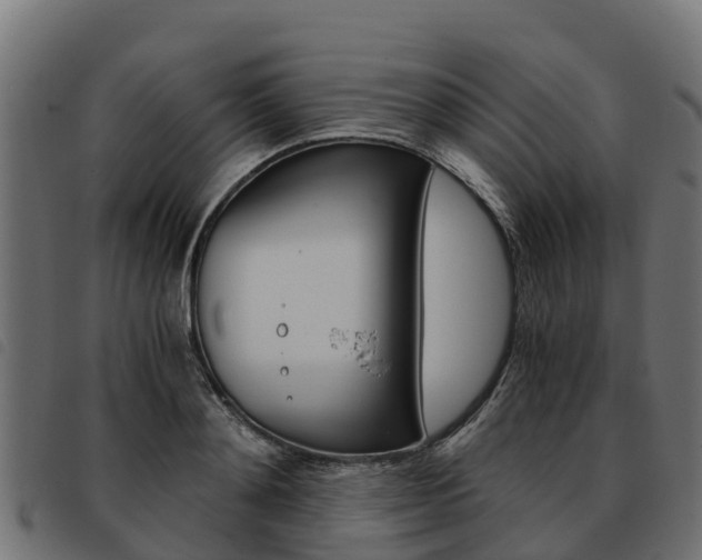 X0000093590892200710151015