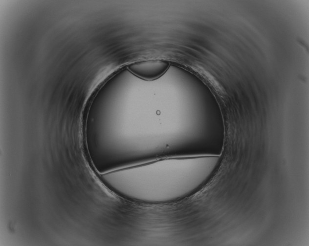 X0000093590894200710151015