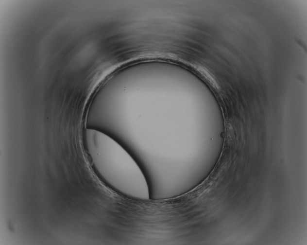 X0000093590895200710151015