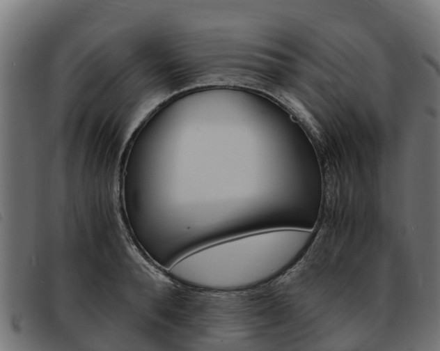 X0000093590896200710151015