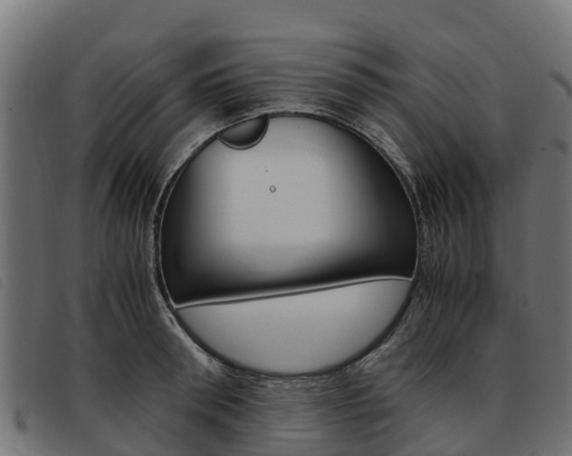 X0000093590898200710151015