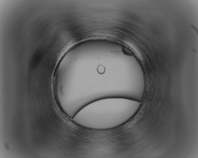 X0000093590899200710151015