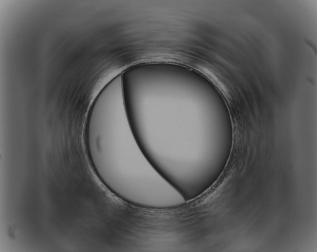 X0000093590901200710151015