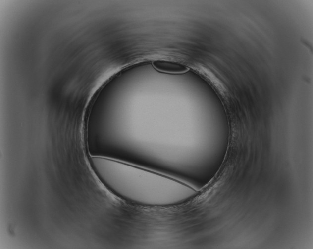 X0000093590902200710151015