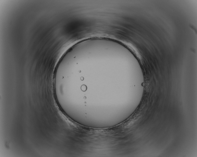 X0000093590903200710151015