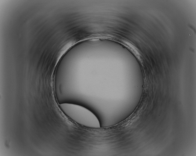 X0000093590907200710151015