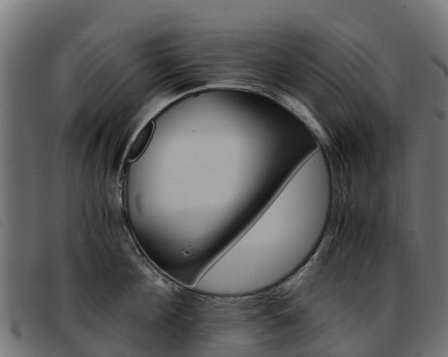 X0000093590908200710151015