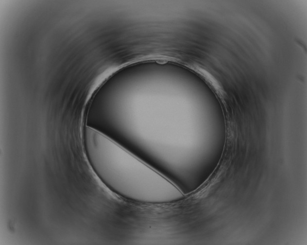 X0000093590910200710151015