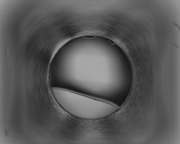X0000093590912200710151015