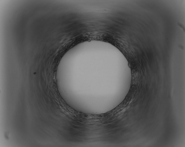 X0000093590913200710151014