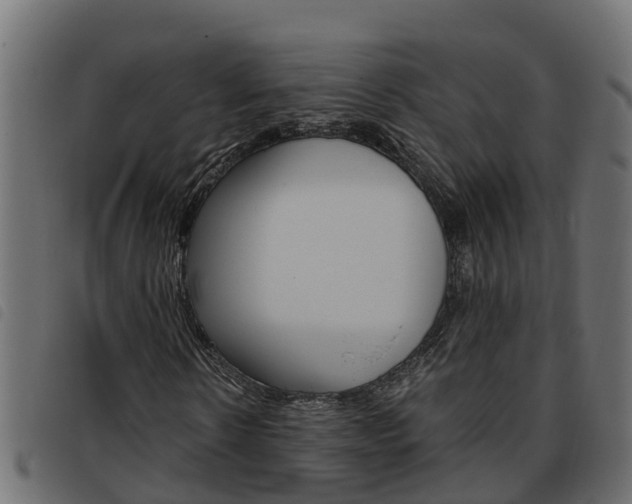 X0000093590914200710151014