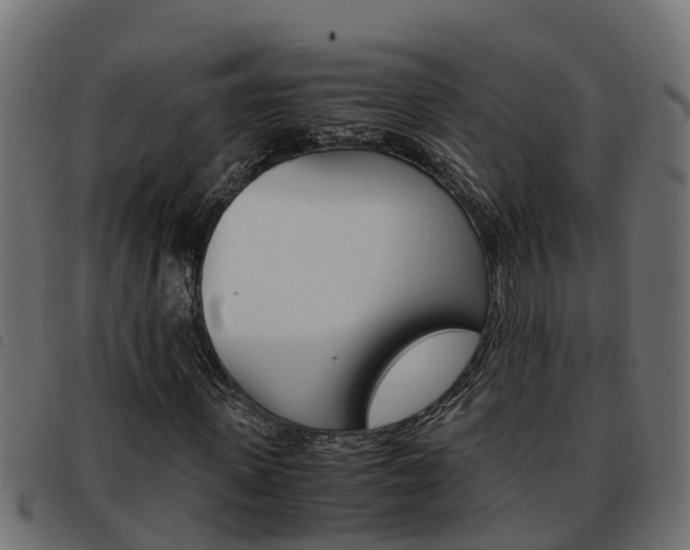 X0000093590915200710151014