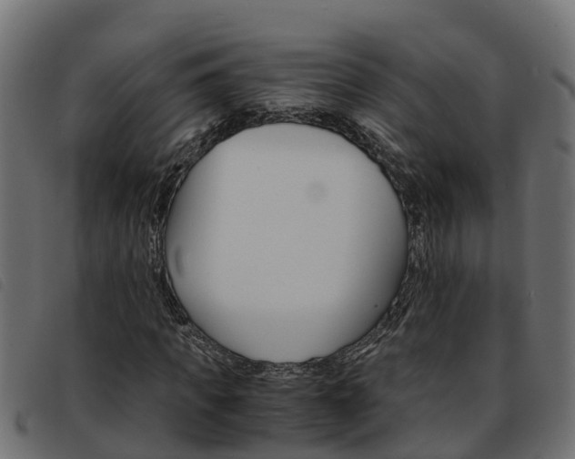 X0000093590917200710151014