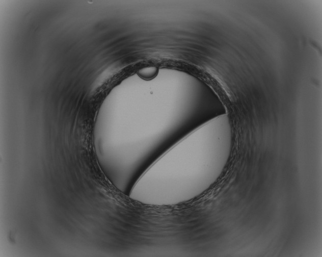 X0000093590919200710151014
