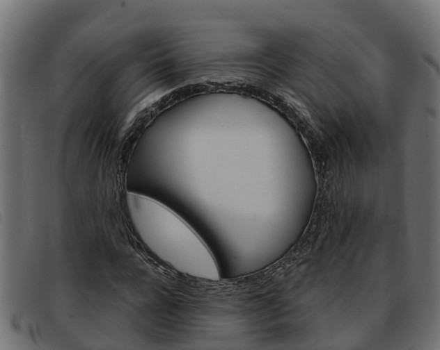 X0000093590920200710151014