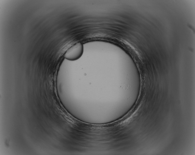 X0000093590921200710151014