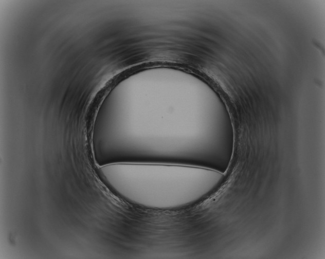 X0000093590923200710151014
