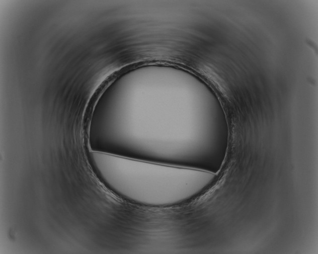 X0000093590924200710151014