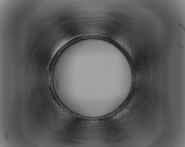 X0000093590925200710151014