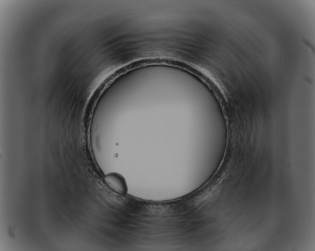 X0000093590927200710151014
