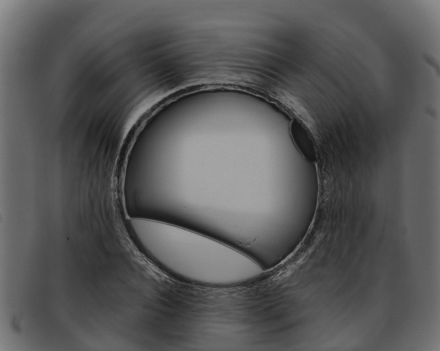 X0000093590928200710151014