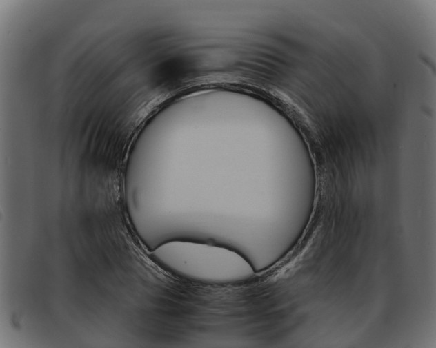 X0000093590929200710151014