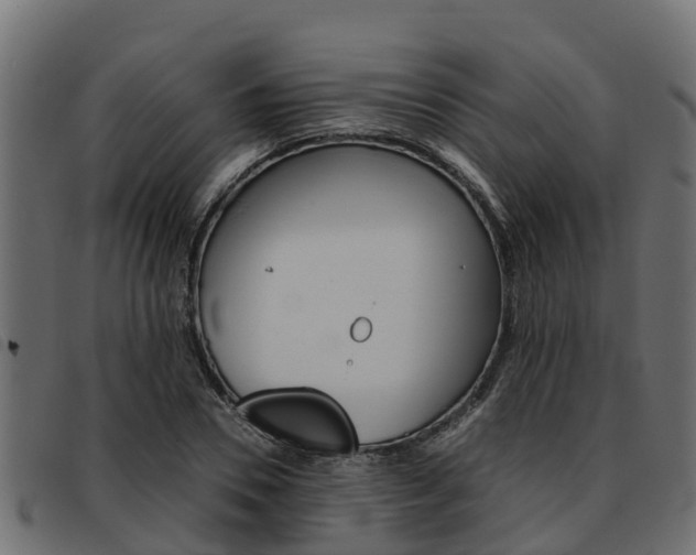 X0000093590930200710151014