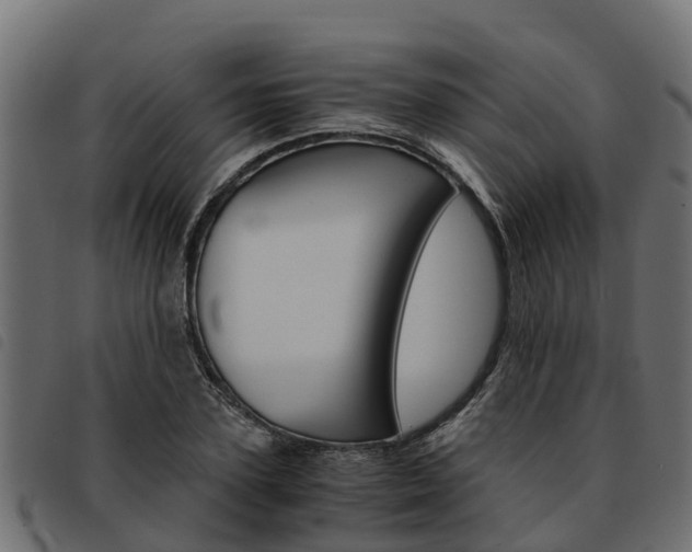 X0000093590931200710151014