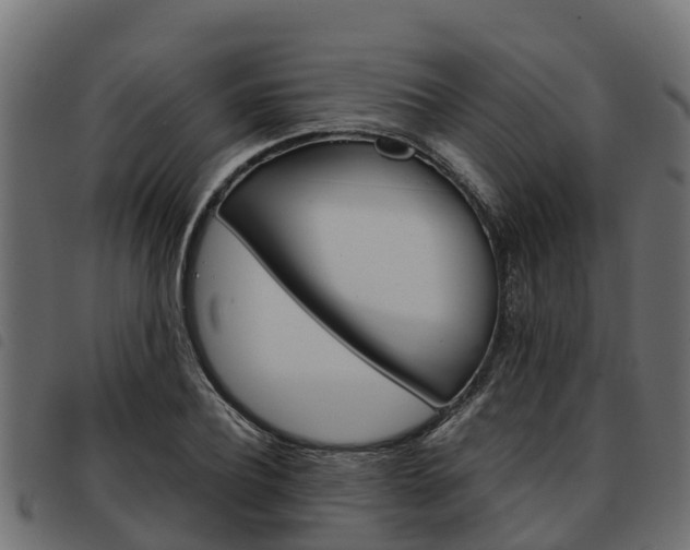 X0000093590932200710151014
