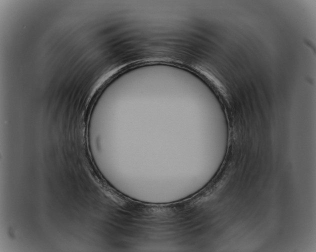 X0000093590933200710151014
