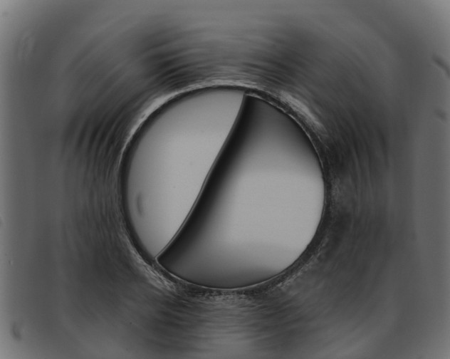 X0000093590934200710151014