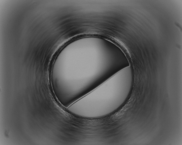 X0000093590935200710151014
