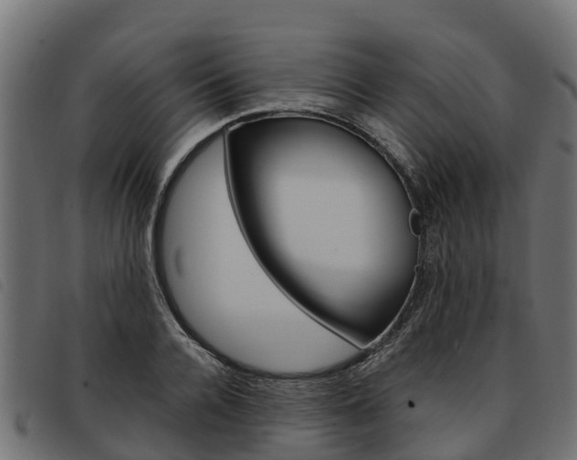 X0000093590936200710151014