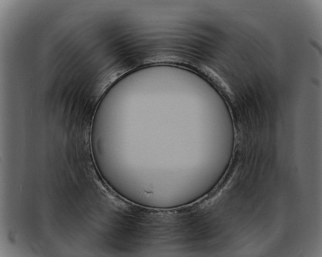 X0000093590937200710151014