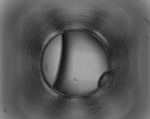 X0000093590938200710151014
