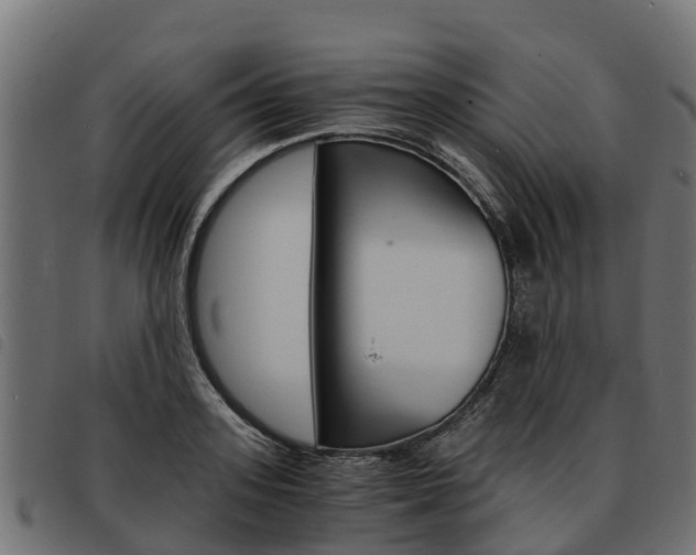 X0000093590939200710151014