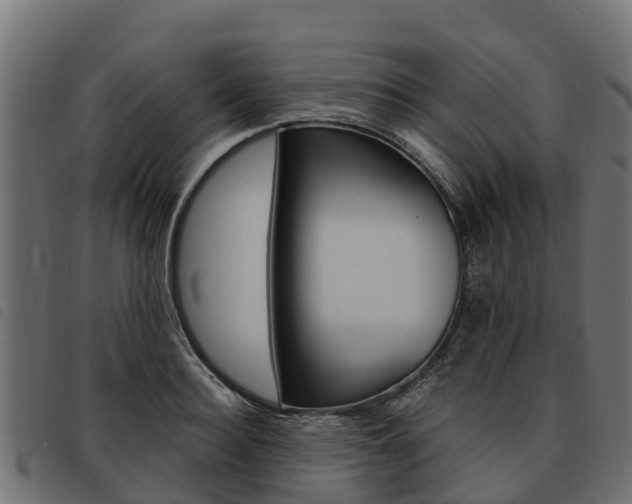 X0000093590940200710151014