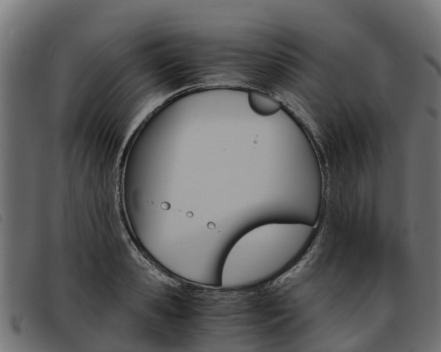 X0000093590941200710151014