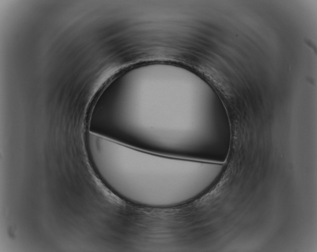 X0000093590942200710151014