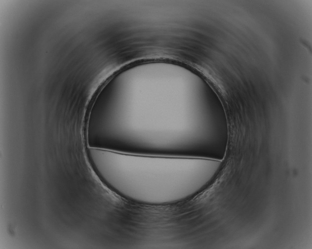 X0000093590943200710151014