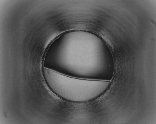 X0000093590944200710151014