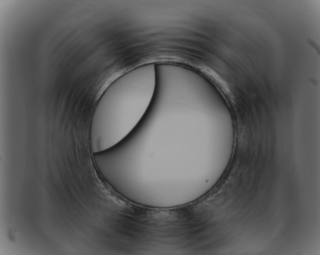 X0000093590945200710151014