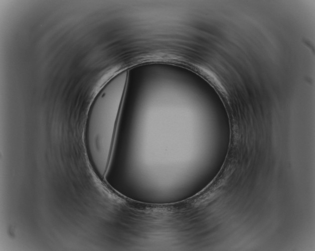 X0000093590946200710151014
