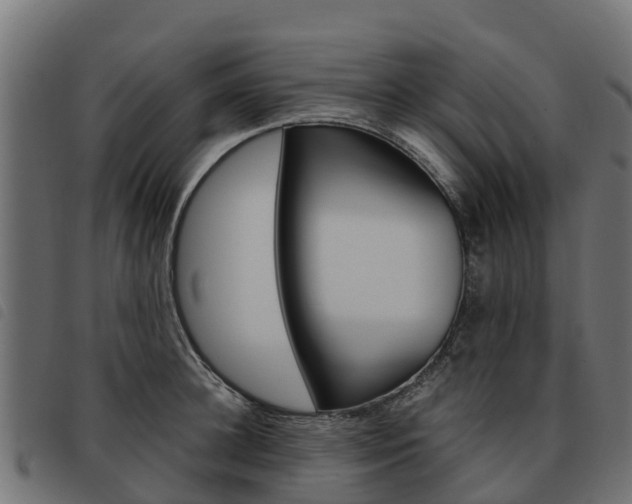 X0000093590948200710151014