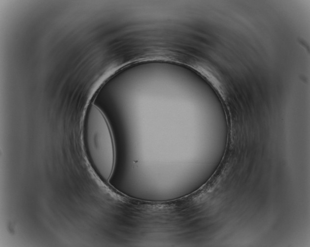 X0000093590949200710151014
