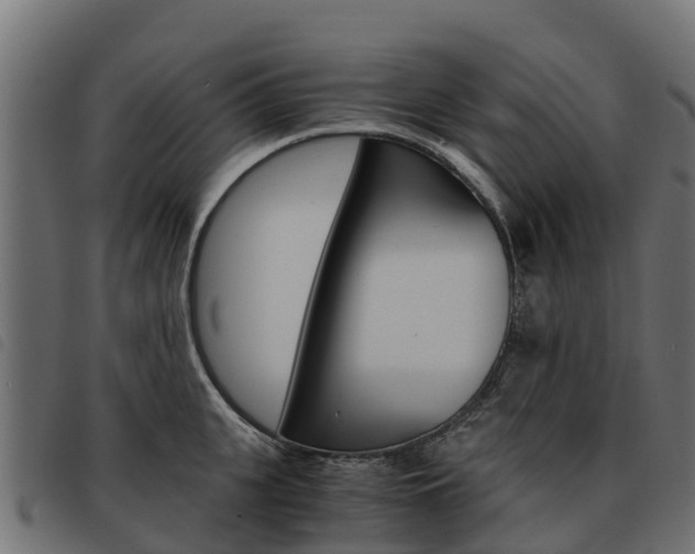 X0000093590951200710151015