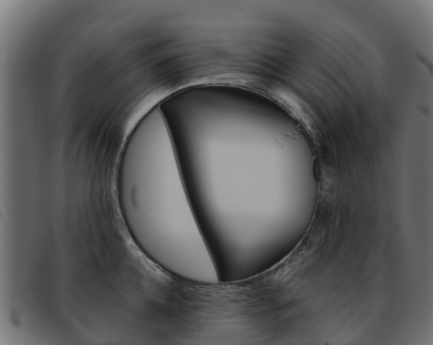 X0000093590952200710151015