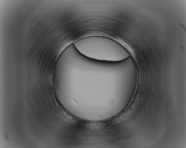 X0000093590953200710151015