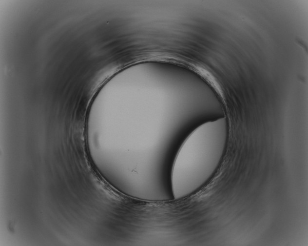 X0000093590954200710151015